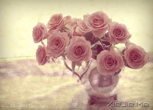 û������Ϊ�˰���������������