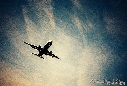 ��������⣬��Ĳ�֪������һ������