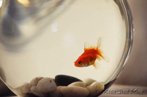 ���˹��£�������Ĺ���