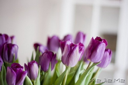 ���֣���ζ������ҩ (1)