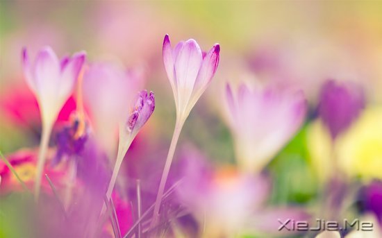 ���֣�Ҫ������ʮ���� (2)