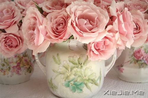 �������غ� (5)