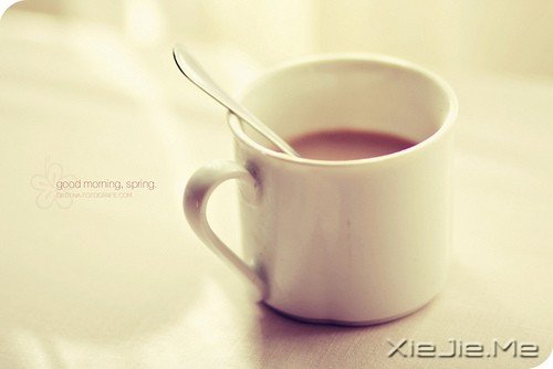 ��ʲôҲ������������