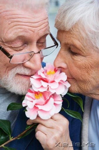 年老时我依然爱你